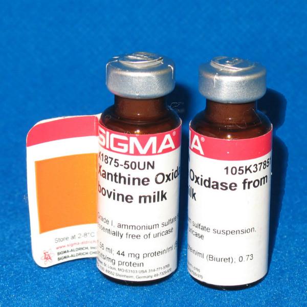 供应9002-17-9黄嘌呤氧化酶 Sigma X1875