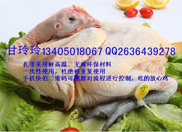 供应白条鸡鸡脚环 实业公司溯源脚环 食品农产品公司防伪标签
