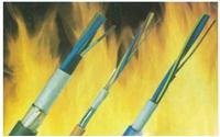 耐高温ZRC-AGR硅橡胶电缆供应耐高温ZRC-AGR硅橡胶电缆