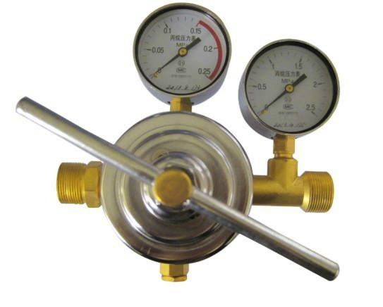 供应YQWG-224管道丙烷减压器,丙烷表