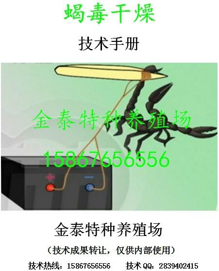 供应蝎毒干燥技术手册，联系电话15867656556