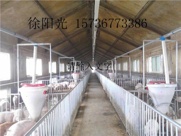 郑州市猪场自动化供料设备厂家供应猪场自动化供料设备