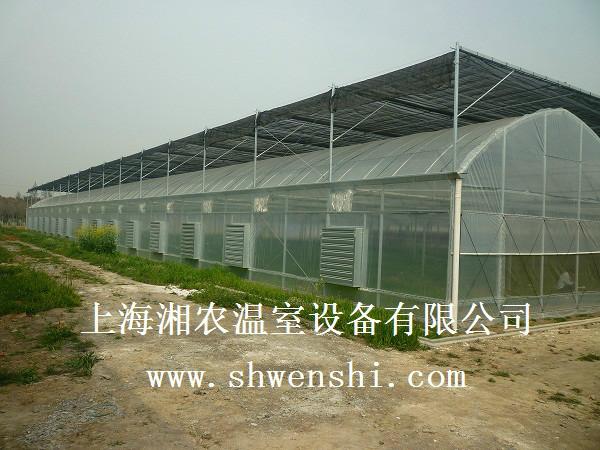 供应上海温室大棚钢管大棚