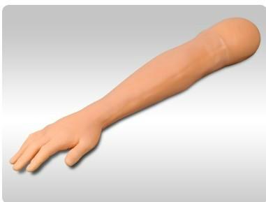 供应针刺训练手臂模型针灸模型图片