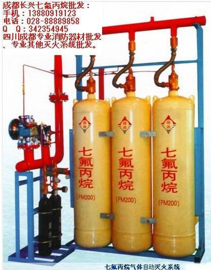 柜式七氟丙烷气体灭火装置 七氟丙烷气体灭火装置价格图片