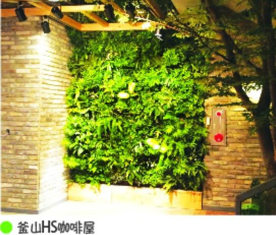 供应果蔬生态植物墙景观墙体图片