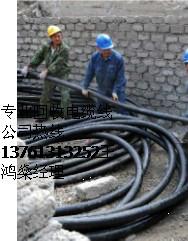 供应上海电缆线回收