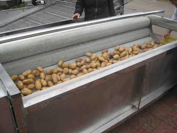 供应土豆去皮清洗机