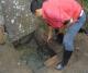 苏州园区管道疏通化粪池清理供应苏州园区管道疏通化粪池清理