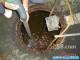 苏州市苏州园区管道疏通化粪池清理厂家供应苏州园区管道疏通化粪池清理
