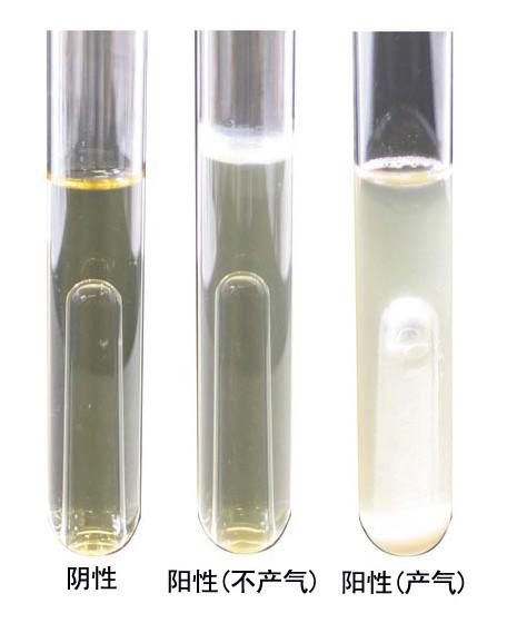 大肠菌群用EMB琼脂培养基批发