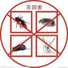 上海专业灭跳蚤公司，上门灭跳蚤杀跳蚤除跳蚤