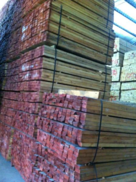 供应大量进口木方处理材1000元