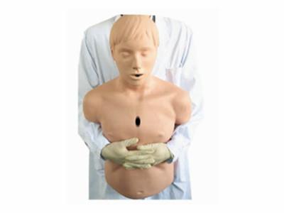 高级成人气道梗塞及CPR模型批发
