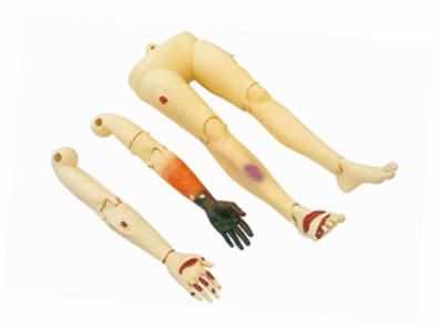 创伤四肢护理模型，四肢创伤护理模型-上海怡健医学