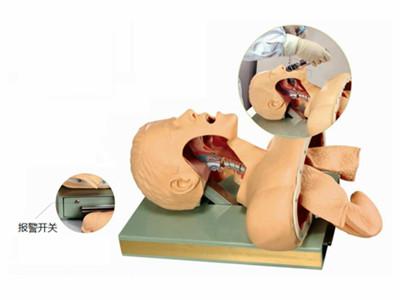 高级人体气管插管训练模型，气管插管人体模型-上海怡健医学
