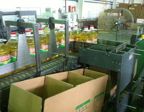 供应广州饮料自动装箱机-包装流水线装箱自动化设备图片